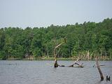 20080608 Falls Lake 006